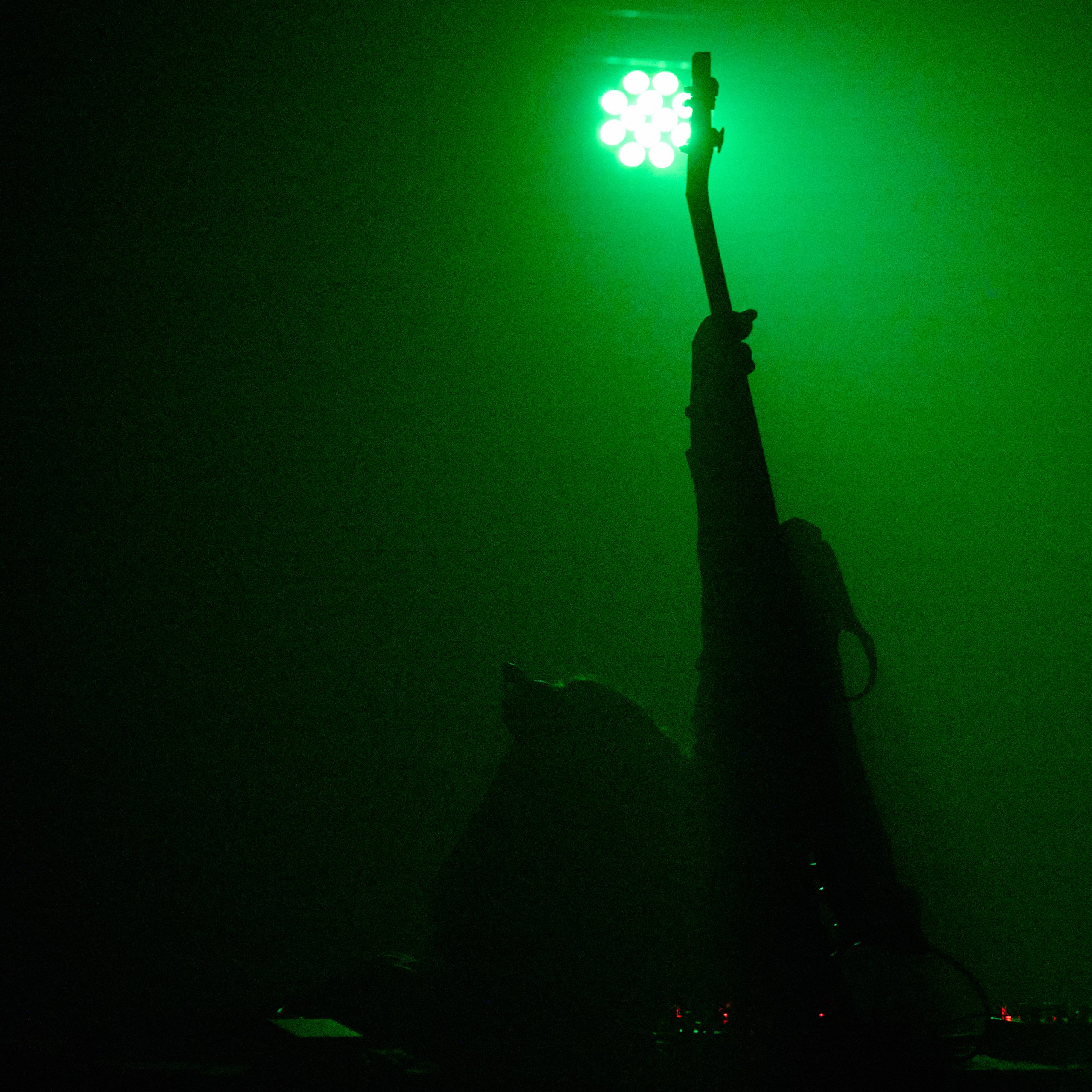 2024 09 13 Auditiver Cortex 0624